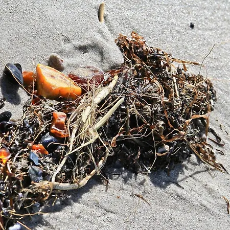 Apartman Duenenhaus *